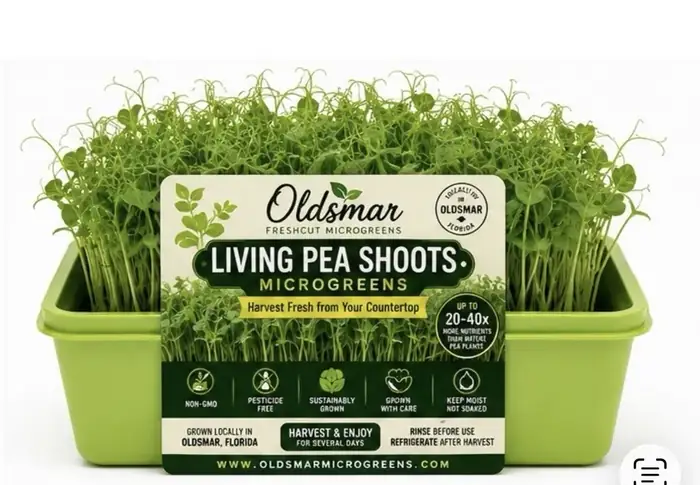 Living Pea Shoots living tray