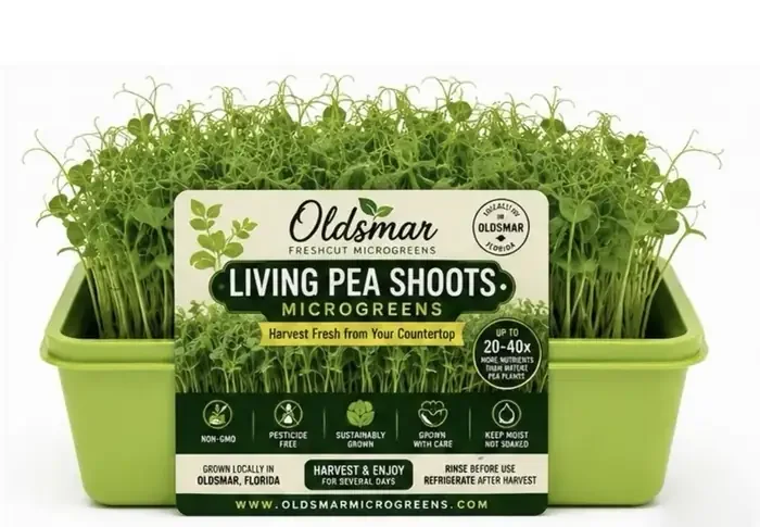 Living Pea Shoots