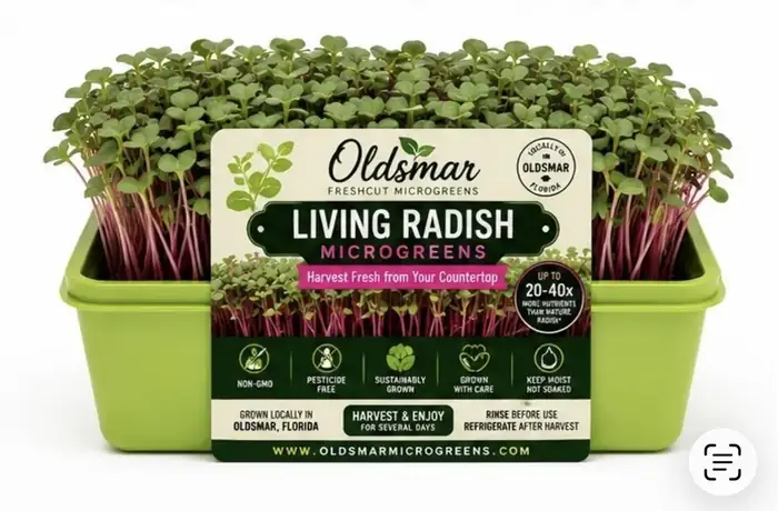 Living Radish Microgreens living tray