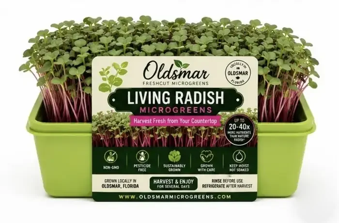 Living Radish Microgreens