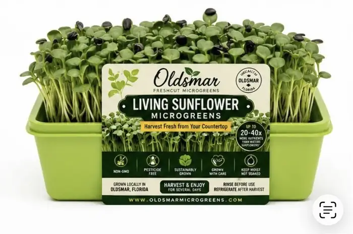 Living Sunflower Microgreens living tray