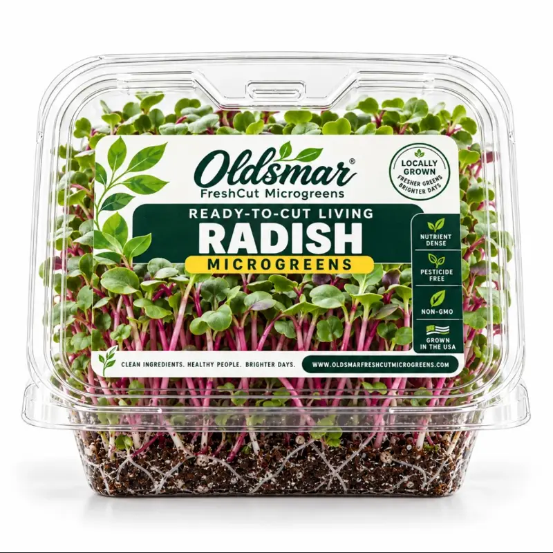 Ready-to-Cut Radish Microgreens