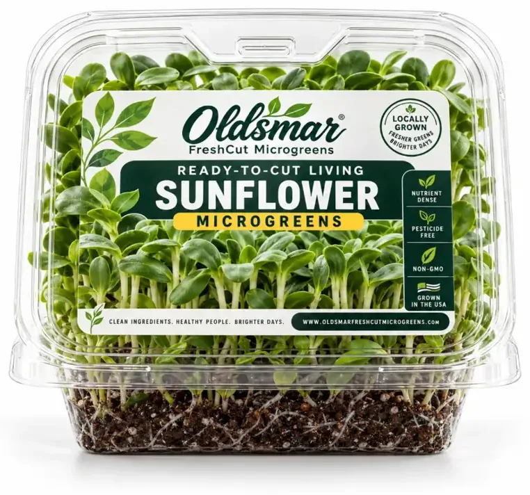 Ready-to-Cut Living Sunflower microgreens delivered alive with roots